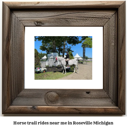 horse trail rides near me in Roseville, Michigan